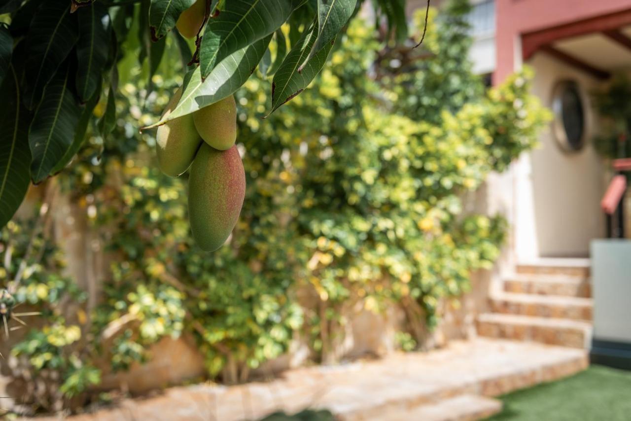 Comfortable 4-Bedroom Villa With Private Gardens Costa Adeje  Eksteriør bilde